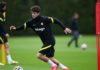 Christian Pulisic