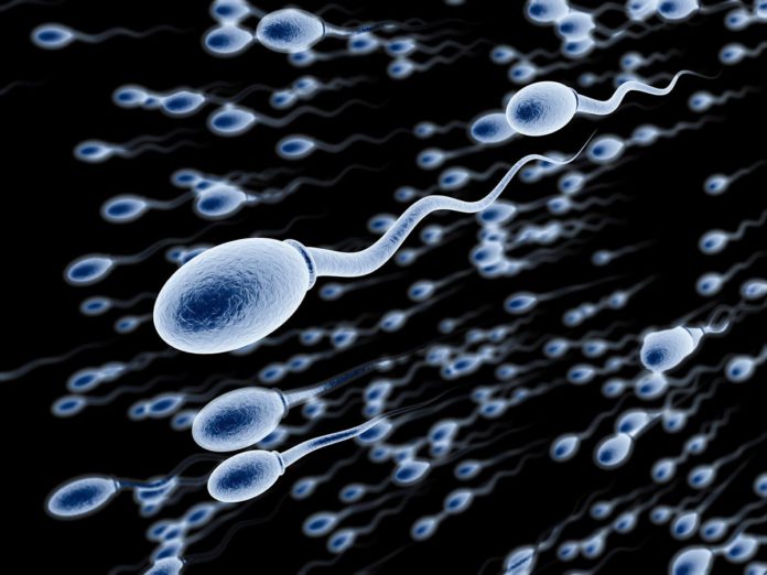 Watch Sperm