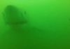 This is the jaw-dropping moment a Great White Shark almost devours a camera ( Image: Credit: Scott Tindale via Pen News)