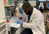 Kwadwo Sarpong working in the lab of Dr. Edjah Nduom in 2019