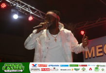 Nautyca at Adom Mega Bash 2022