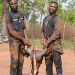 Two notorious poachers arrested in Mole National Park sentenced