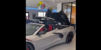 See Adwoa Safo's son cruising in a convertible Lamborghini on his birthday