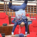 Angry MP turns Parliament into circus PC: Mwananchi_official