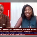 I will not cover election 2024 for fear of attacks – Afia Pokua
