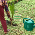 Green Ghana Project: 20 million trees source: Dennis Adu