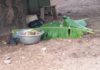 The lifeless body of he victim covered with plantain leaves Source: GNA
