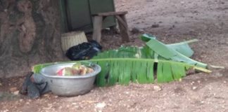 The lifeless body of he victim covered with plantain leaves Source: GNA