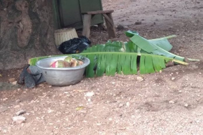 The lifeless body of he victim covered with plantain leaves Source: GNA