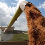 Africa is a hostage of Russia’s war – Zelensky