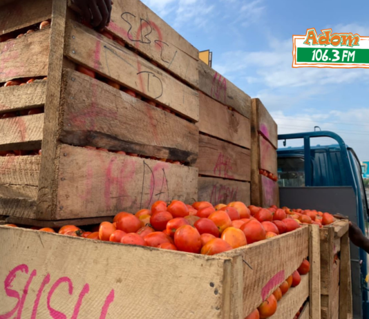 Tomato traders suspend Burkina Faso operations, threaten penalties for violators