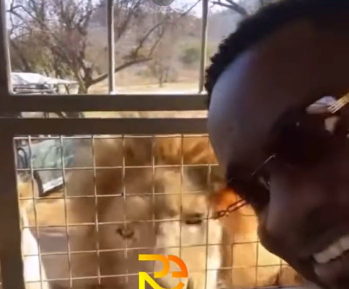 Sarkodie and his team enjoyed a trip to the wilderness at 'The Lion & Safari Park' in South Africa | credit: @ronnieiseverywhere