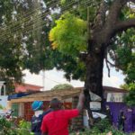 One killed after death trap tree falls on road at Bubuashie