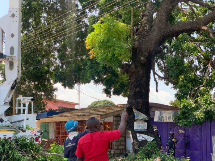 One killed after death trap tree falls on road at Bubuashie