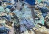 Ghana cards left to rot in NIA office