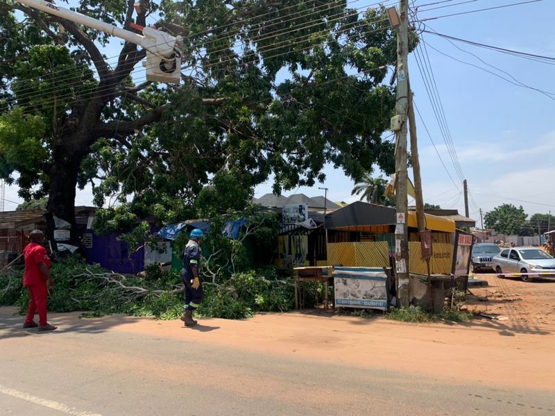 One killed after death trap tree falls on road at Bubuashie