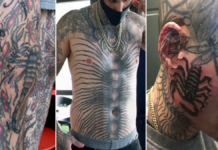 Man with 864 insect tattoos breaks record