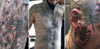 Man with 864 insect tattoos breaks record