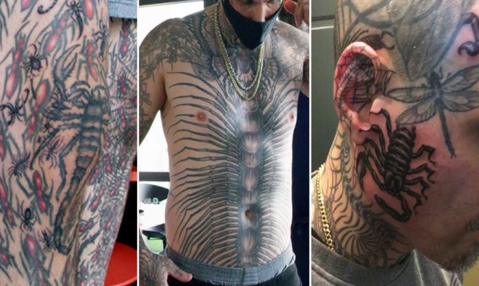 Man with 864 insect tattoos breaks record