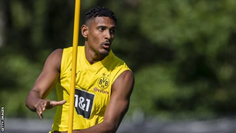 Dortmund striker Sebastien Haller diagnosed with testicular tumour