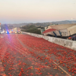 Tomato spillage causes chaos in California
