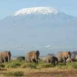 Tanzania offers internet on Africa’s tallest mountain