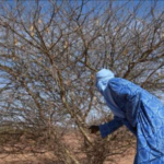 Niger begins making artificial rain to curb drought