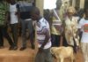 Man incurs wrath of traditional leaders for impregnating 3 daughters