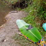 Boy, 16, drowns after allegedly insulting river god