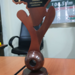 Multimedia Group receives YPYC MTN PULSE’s Africa Role Model Overall Organisation Award