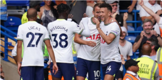 Harry Kane celebrates the equaliser (PA)