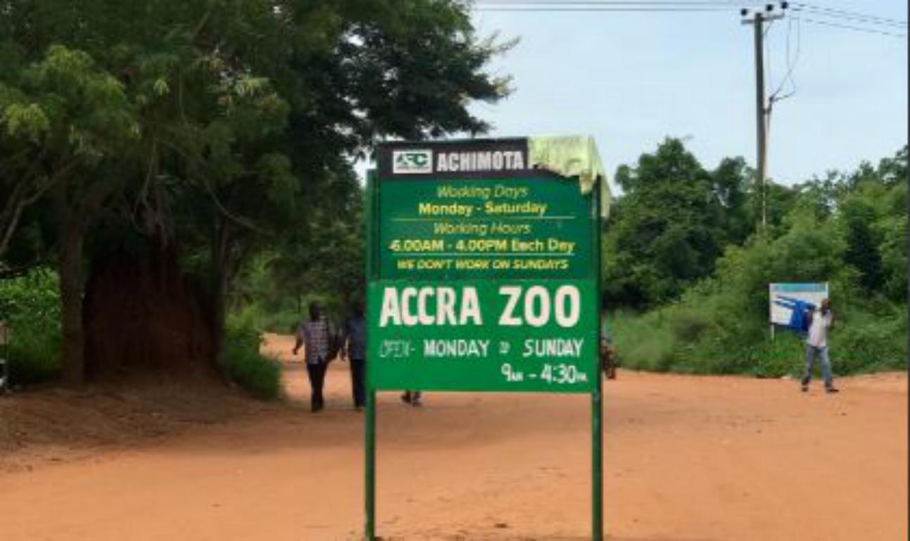 Forestry Commission reacts to reports that a lion has escaped from