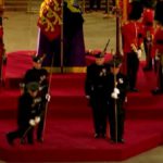 The Royal Guard fell face down