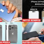 iPhone 14 source: dailymail.co.uk