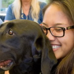 Dogs can sniff out stress from humans, new study reveals