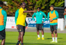 Otto Addo issuing instructions to Black Stars players