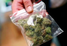 It could soon be legal to posses up to 15 grams of cannabis in Berlin -- a street value of more than 120. Foto: ROBERT GALBRAITH/ REUTERS