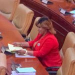 Adwoa Safo in parliament