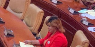 Adwoa Safo in parliament