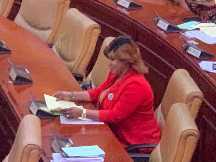 Adwoa Safo in parliament