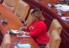 Adwoa Safo in parliament