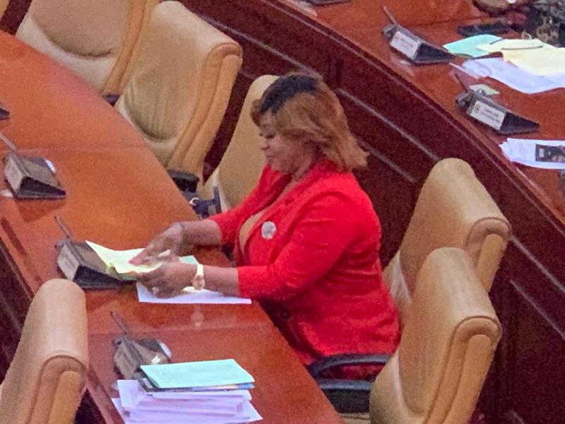 Adwoa Safo in parliament