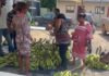 MOFA foodstuffs market