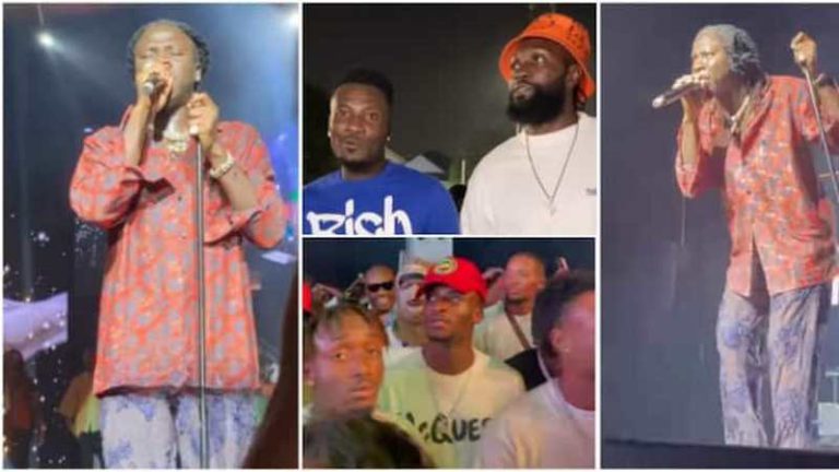 Bhim Concert 2022: Asamoah Gyan, Adebayor, Kudus, and others Storm Stonebwoy’s star-studded show [Watch]