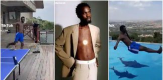 Black Sherif Dives Into Pool Full Of Dolphins Photo Source: Yaw_Cee on TikTok, blacksherif