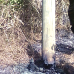 ECG records 18 burnt power poles in 2023