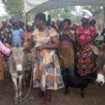 UDS lecturer donates donkeys, goats to women in Upper East Region