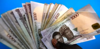 Naira notes | Getty Images