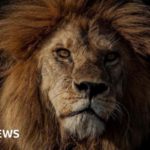 Lion who was ‘king’ of the Serengeti killed by rivals
