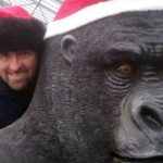 Owner Andrew Scott with Gary the gorilla source: mirroruk